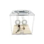 module de fondation pour fourmis