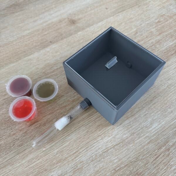 Kit de fondation Lasius Niger – Image 2