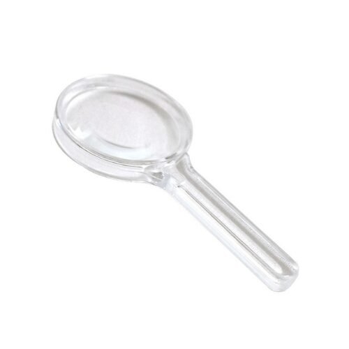 Loupe X5 pour l'observation des fourmis