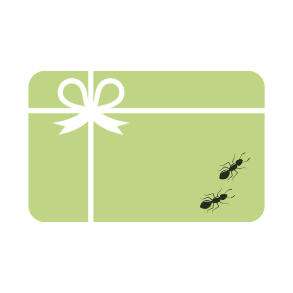 carte cadeau fourmis
