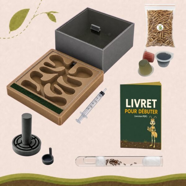 kit lasius niger deluxe