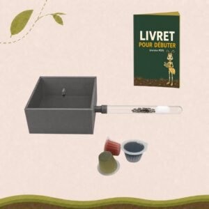 Kit de fondation Lasius Niger