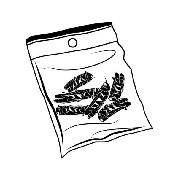 grillons séchés pour fourmis